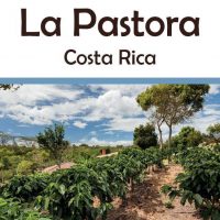Costa Rica La Pastora