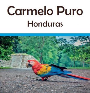 Honduras Carmelo Puro