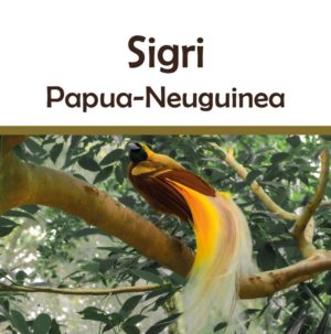 Papua-Neuguinea Sigri