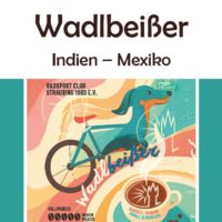 Wadlbeißer
